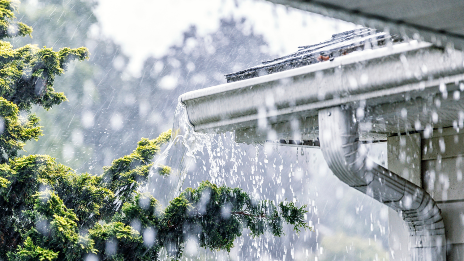 Heavy rain pours onto a roof, overflowing from a white gutter downspout onto green bushes during a summer storm.